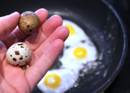 Quail egg fyrir styrkleika