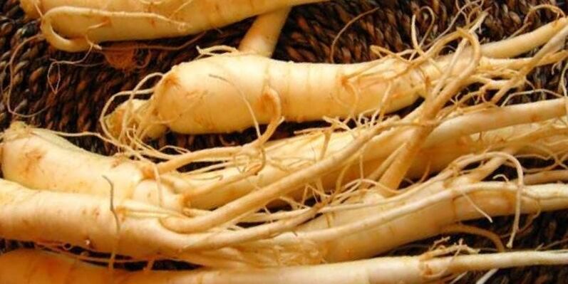 ginseng rót til að auka virkni